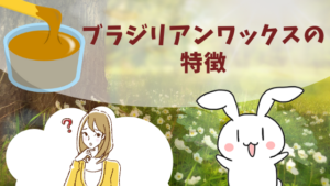 ブラジリアンワックスの特徴