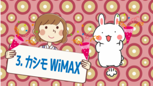 3.カシモWiMAX