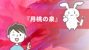 『月桃の泉』